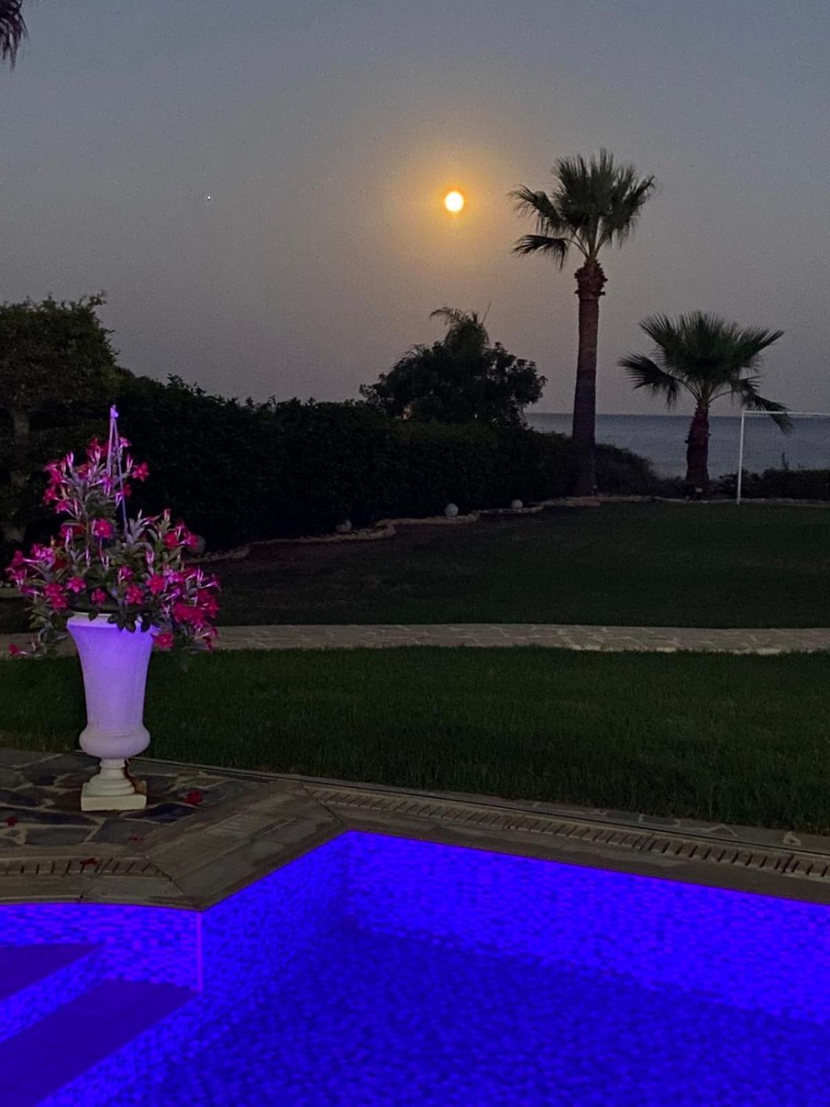 Ionion Beachfront Villa Ayia Napa Exterior foto